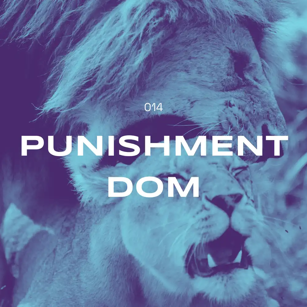 014_punishment_dom_compressed