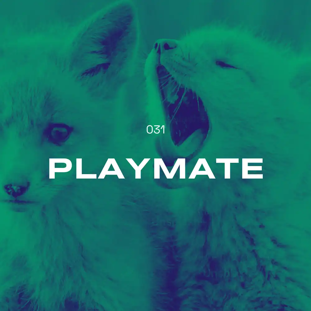 031_playmate_compressed